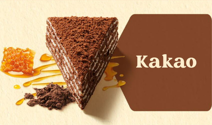 Torcik miodowy MARLENKA® z kakao - 100g x 12 szt.